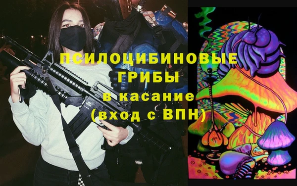 мдпв Абаза