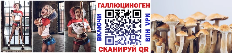цена наркотик  Красновишерск  Галлюциногенные грибы Psilocybine cubensis 
